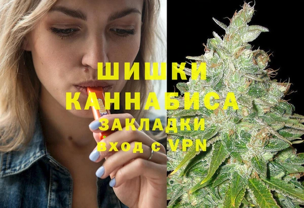 СК Алексин