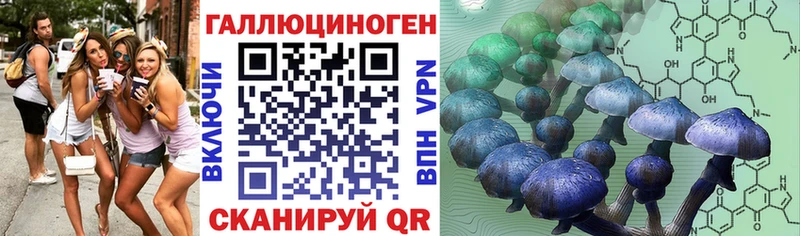 Псилоцибиновые грибы Psilocybine cubensis  Керчь 
