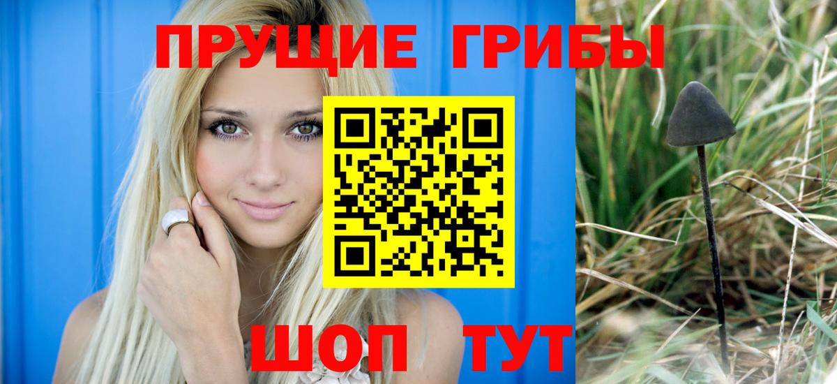 Псилоцибиновые грибы Cubensis Керчь