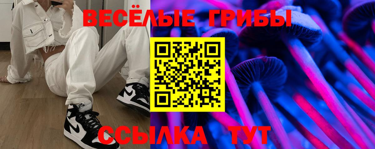 закладка  Галлюциногенные грибы MAGIC MUSHROOMS  Вход с VPN  Керчь 
